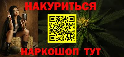 стаф Гудермес
