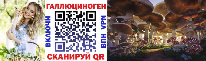 Галлюциногенные грибы Psilocybine cubensis  Евпатория 