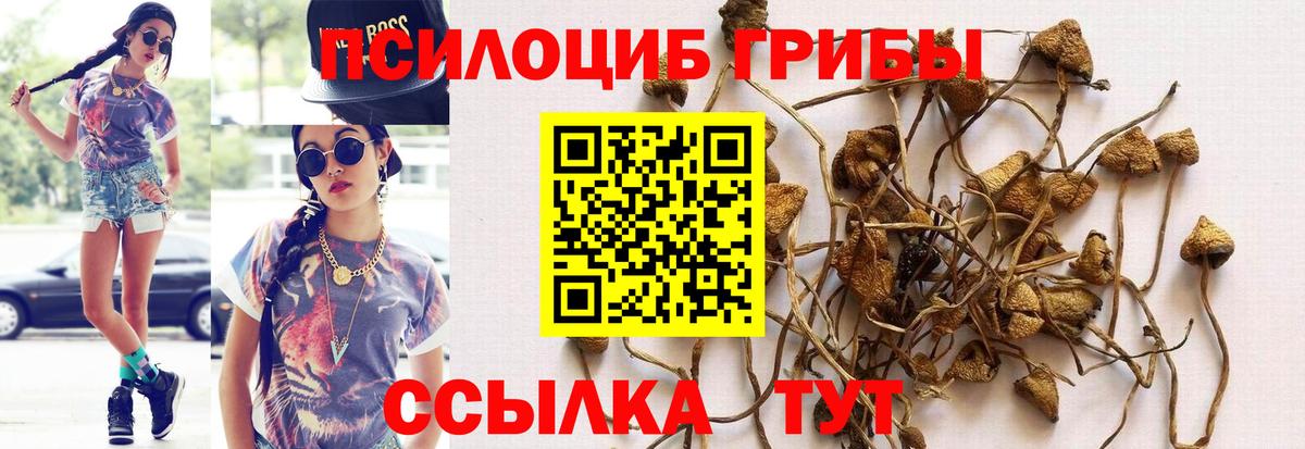 Псилоцибиновые грибы ЛСД Евпатория
