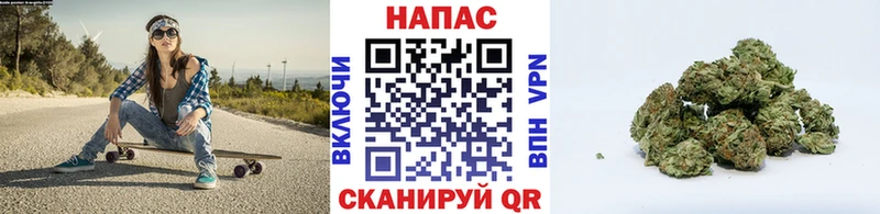 Бошки Шишки планчик даркнет Telegram Евпатория